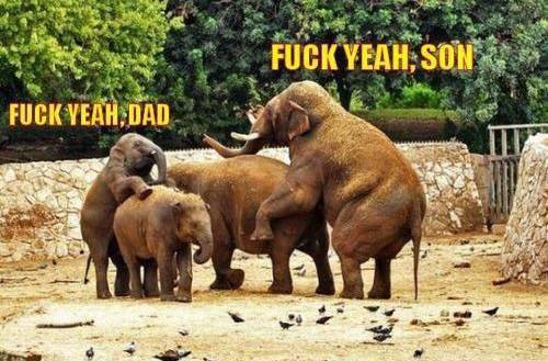 This is my favourite picture on the internet, It never fails to make me laugh.