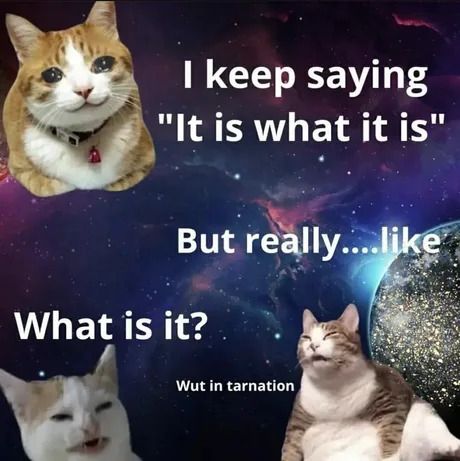 Pls tell me