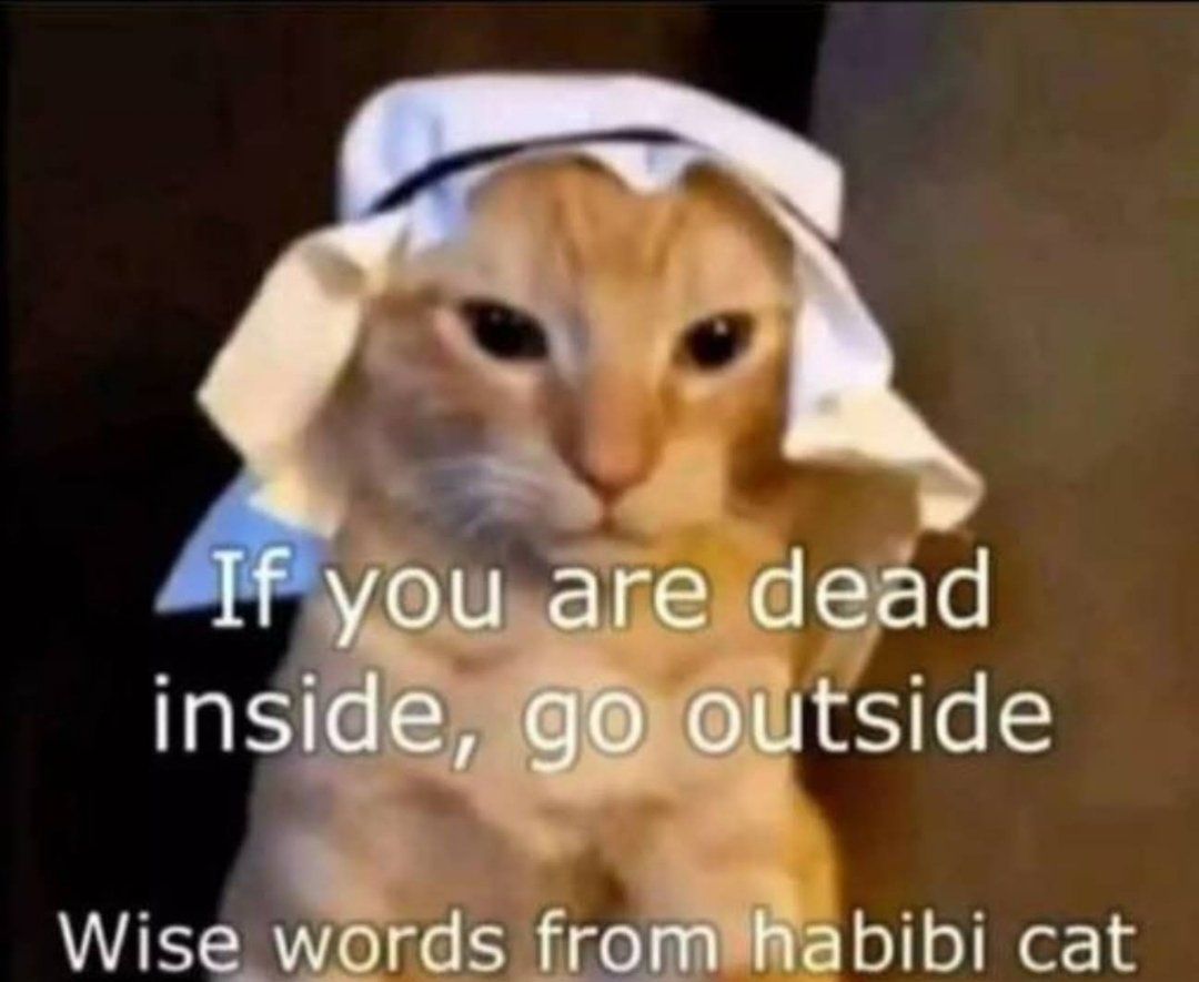 Habibi