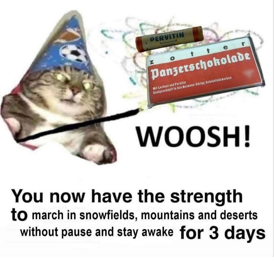 magic gato