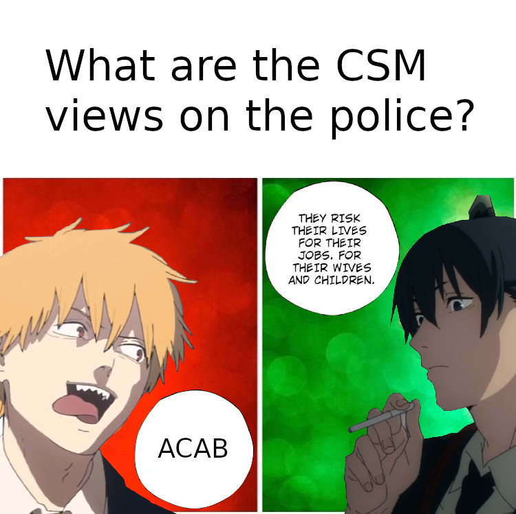 CSM views on Police?