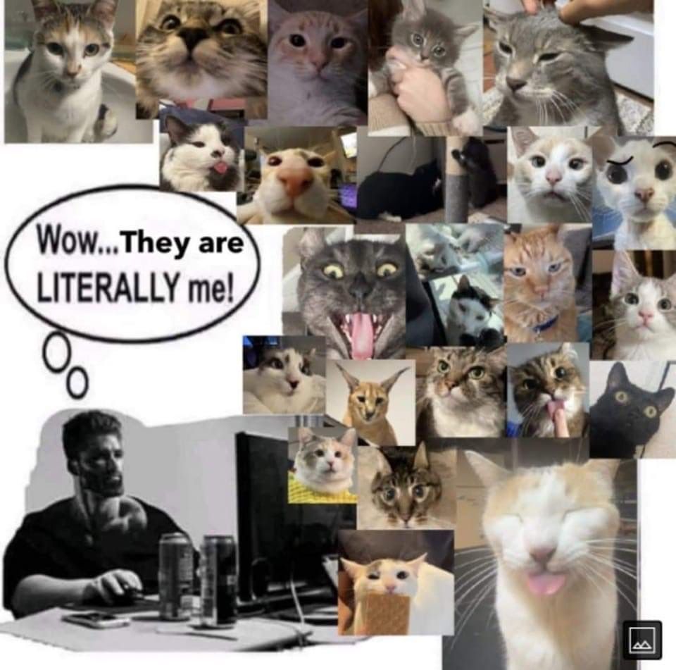 ‎‎‎‎