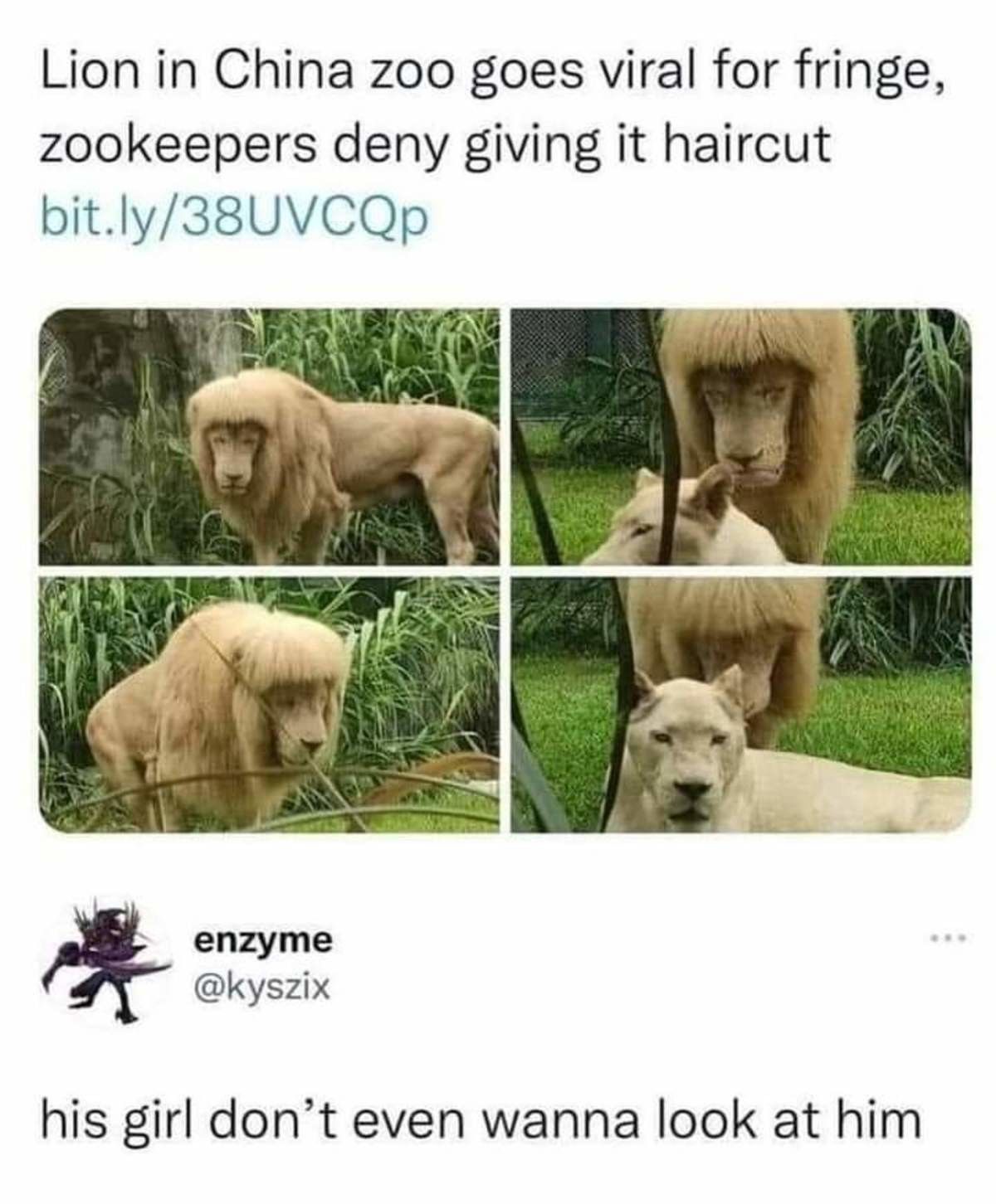bruh