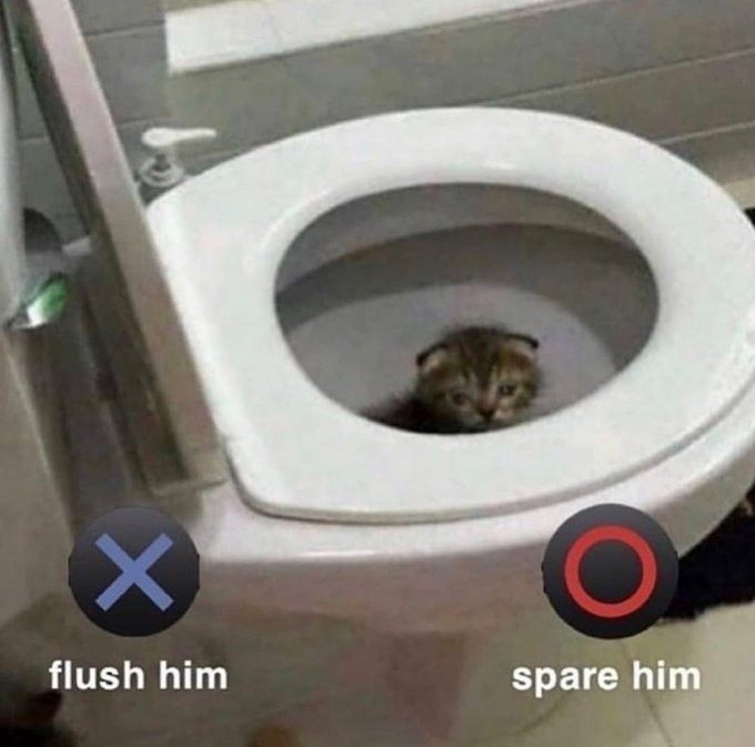 you decide
