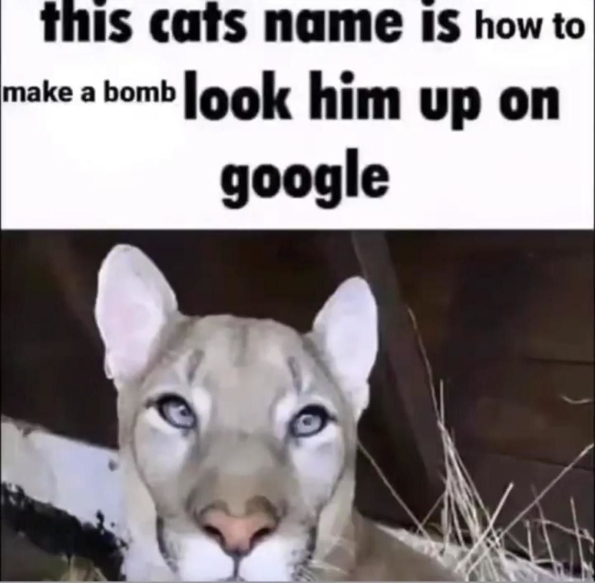what a nice name