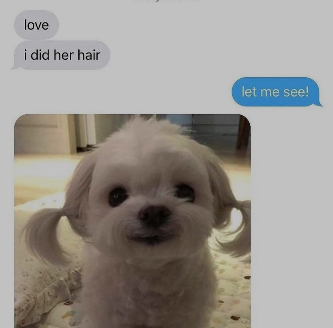 Cute shit