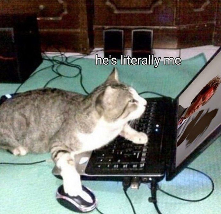 ***