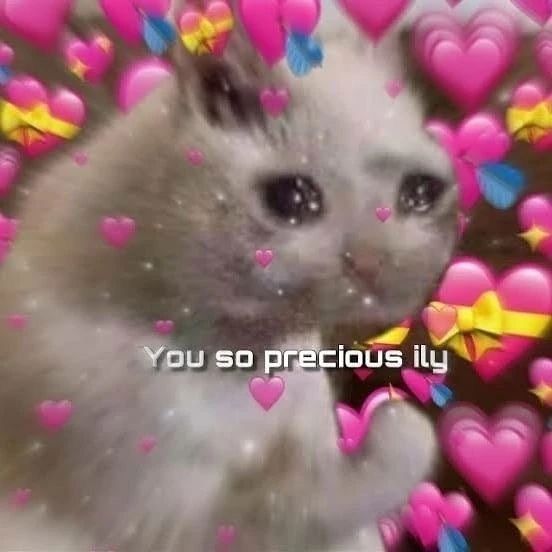 Ily
