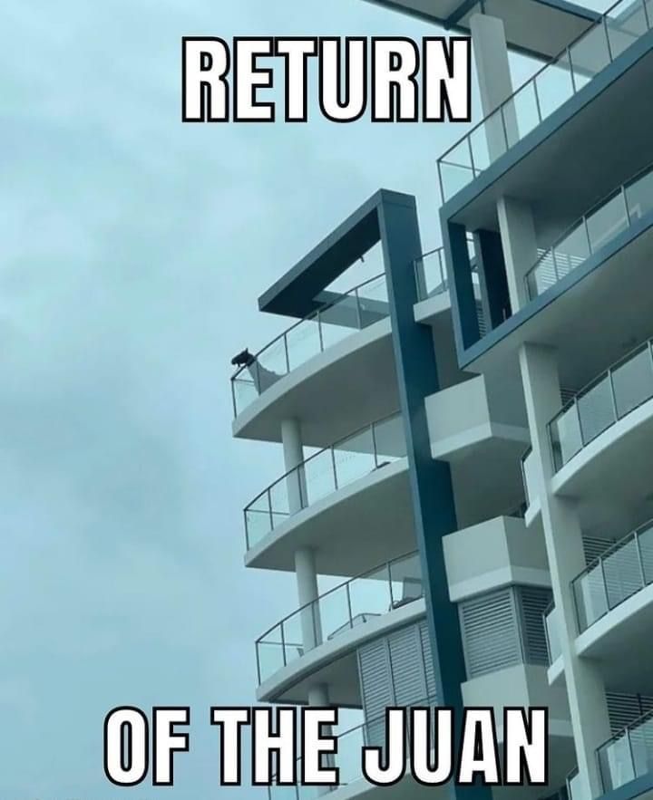 The chosen Juan