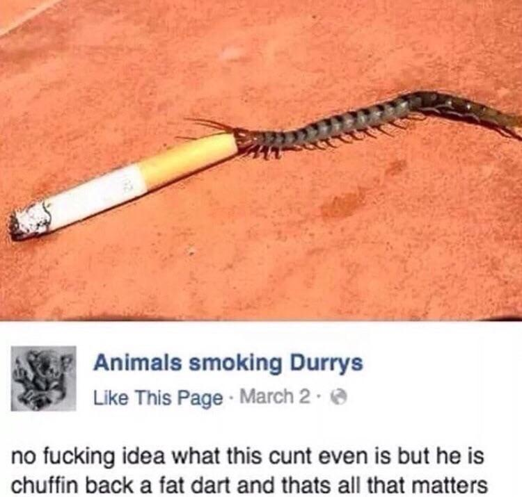 No lungs, no lung cancer