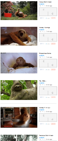 The sloths have taken over the internet
