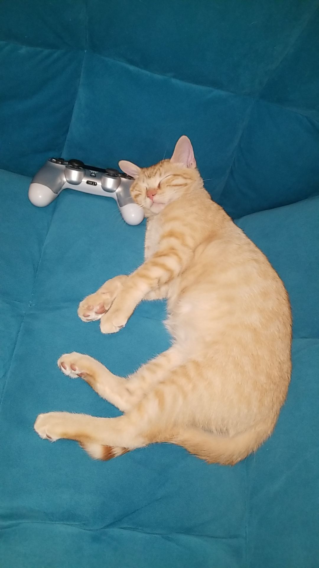 I'm trying to play some games. Should I wake him up? lol