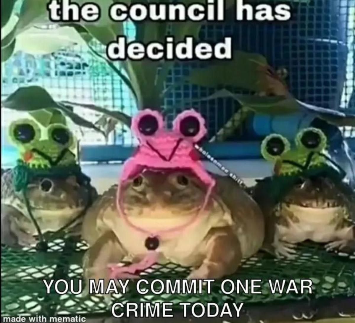 have fun