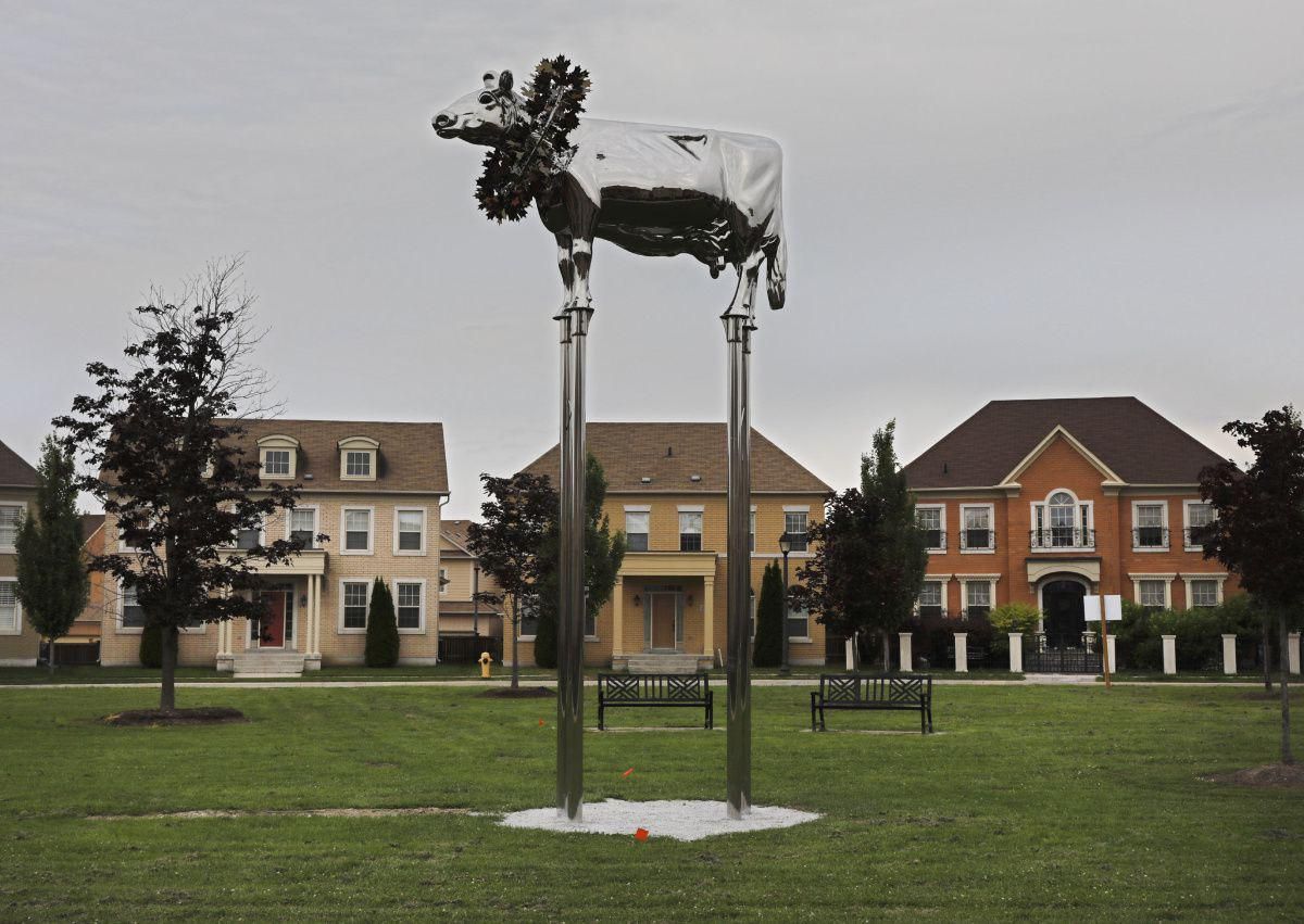 This cow sculpture has angered many residents in Markham, Ontario. Canada.
