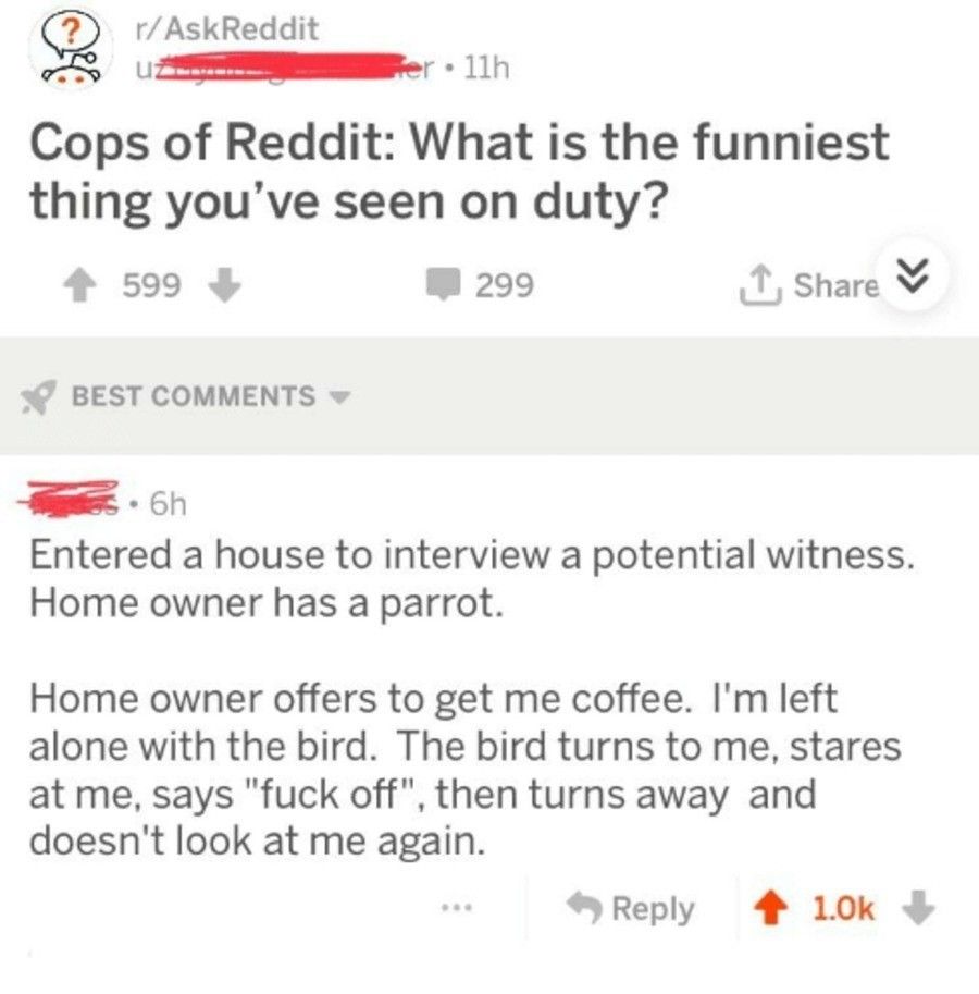 chad parrot