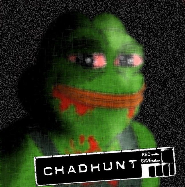 Pepe/apu a day - 313 manhunt pepe