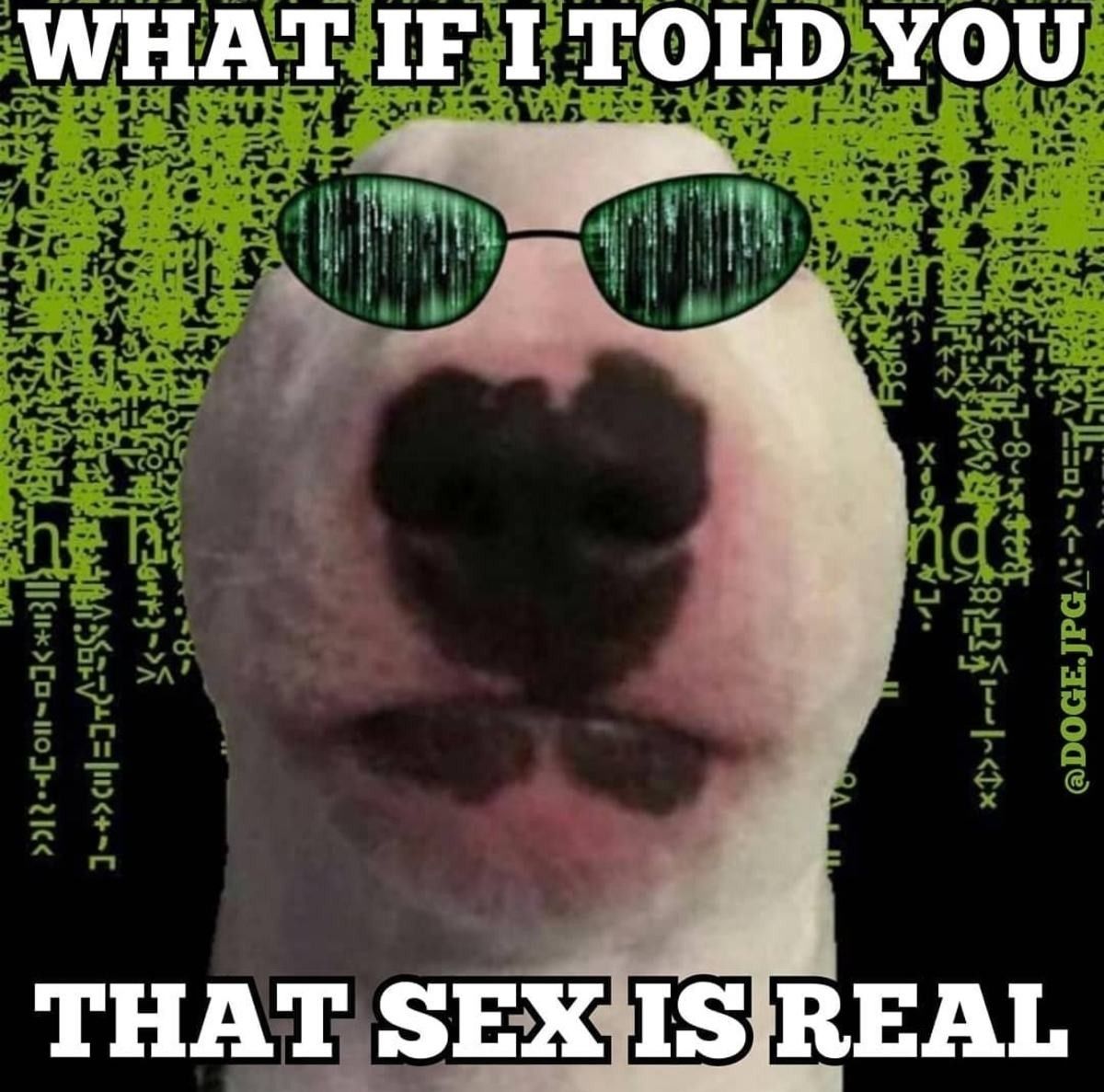 LIES