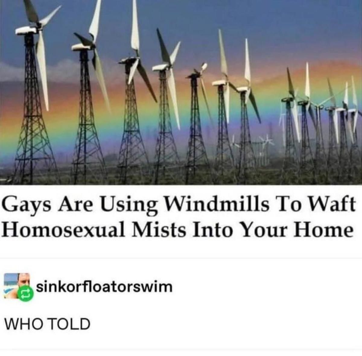 homo mist