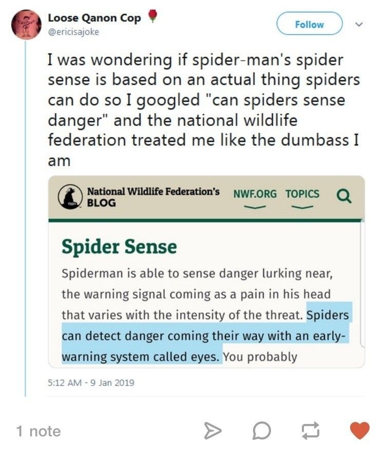spider sense
