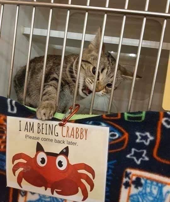 ***
