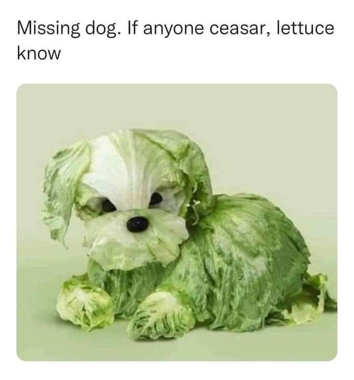 Bad Pun Tuesday but make it Saturday