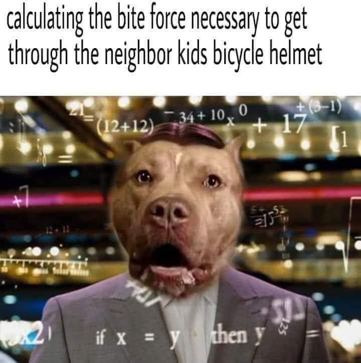 …