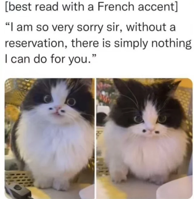 Hon hon hon