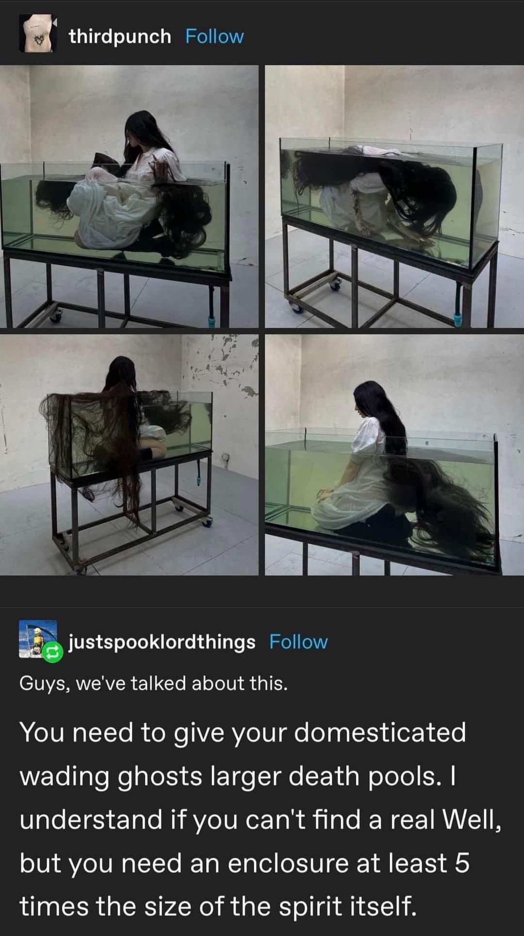 Take proper care of your "pets"