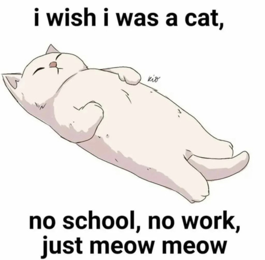 Meow meow