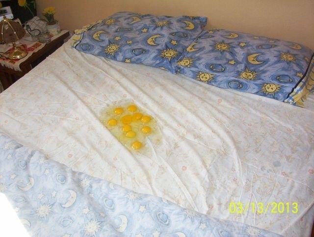 Breakfast in bed.