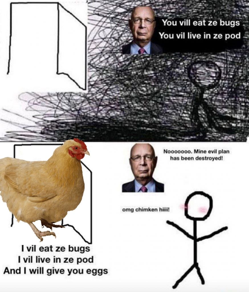 Chad chicken