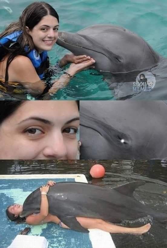 Yeah dolphins are smart but a bit too smart