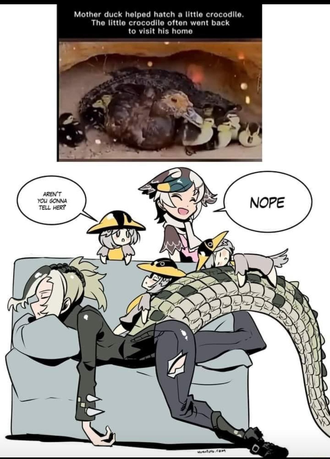 Crocoduck