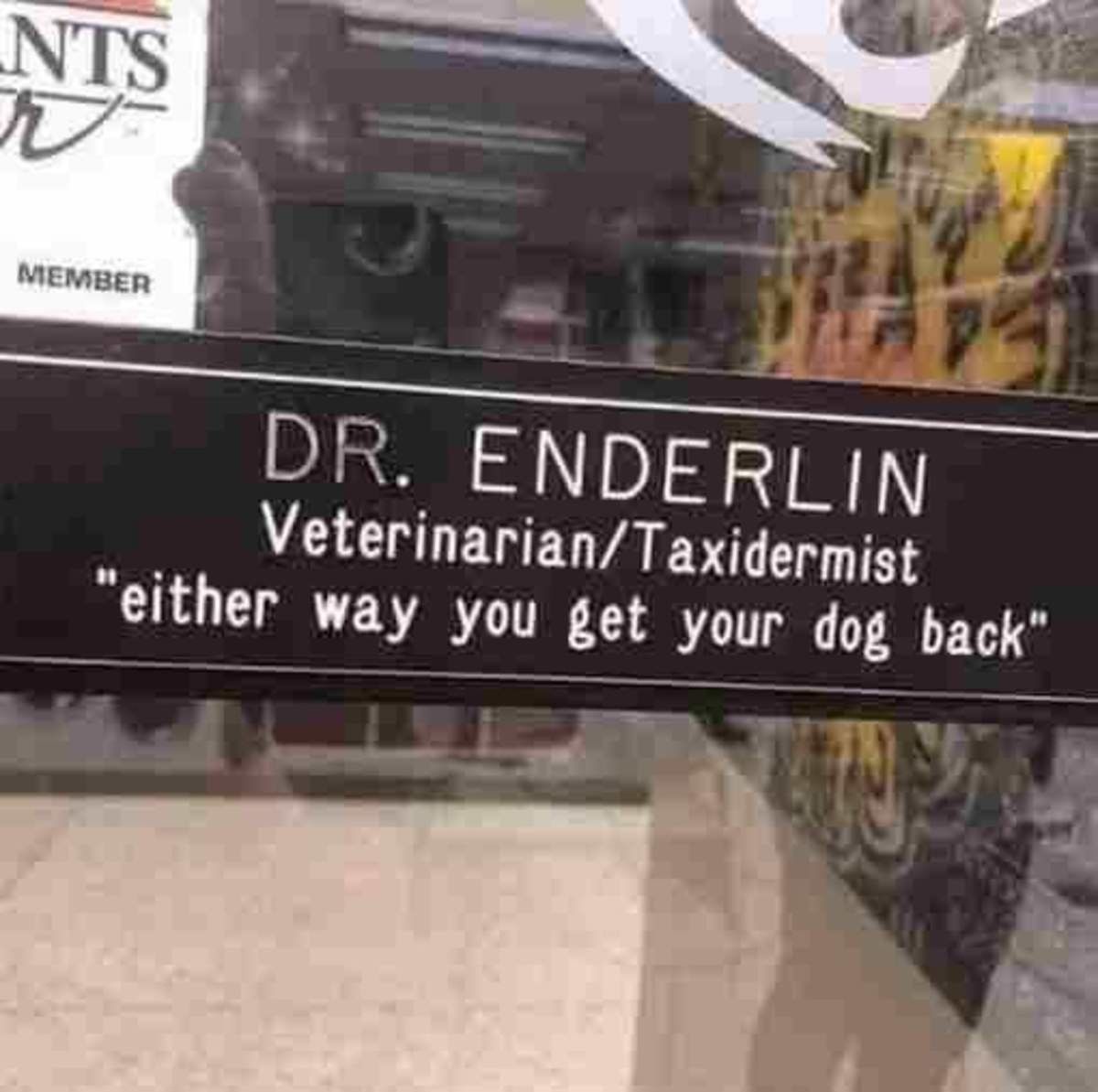 dr.enderlin