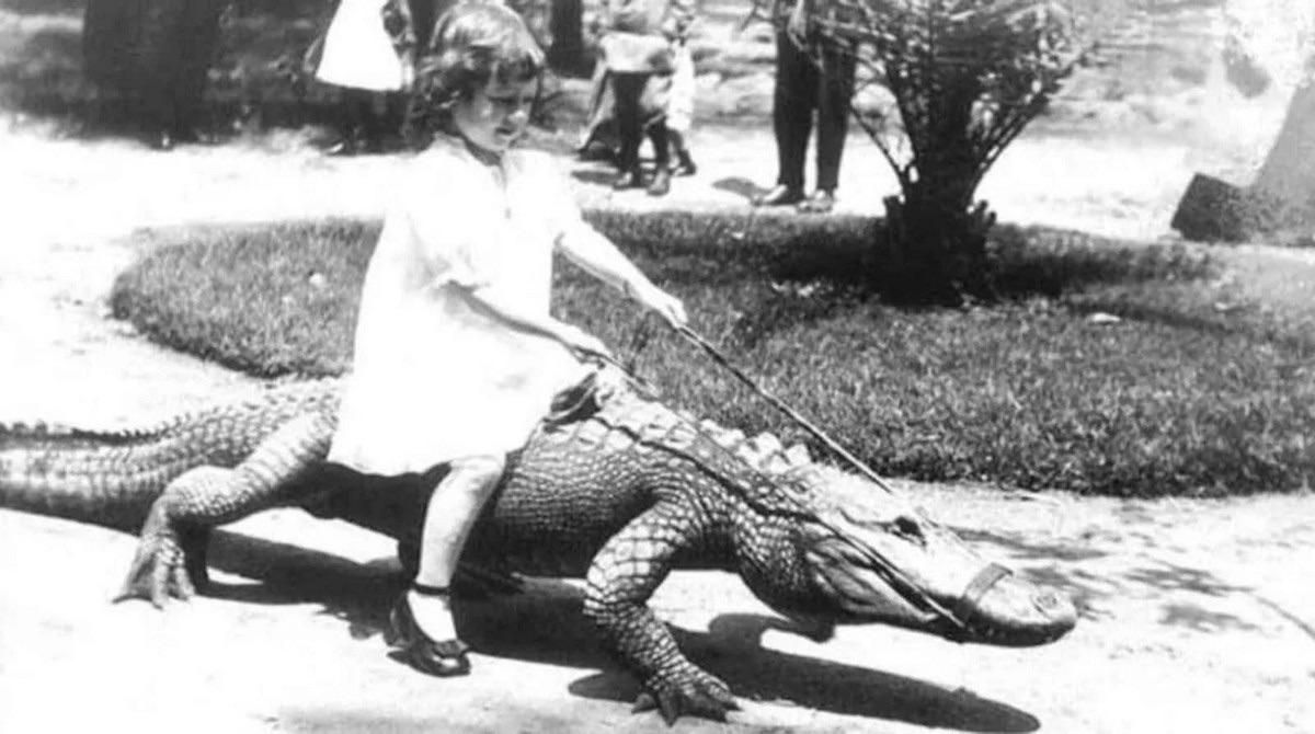Steve Irwin's Mom as a child. circa 1949