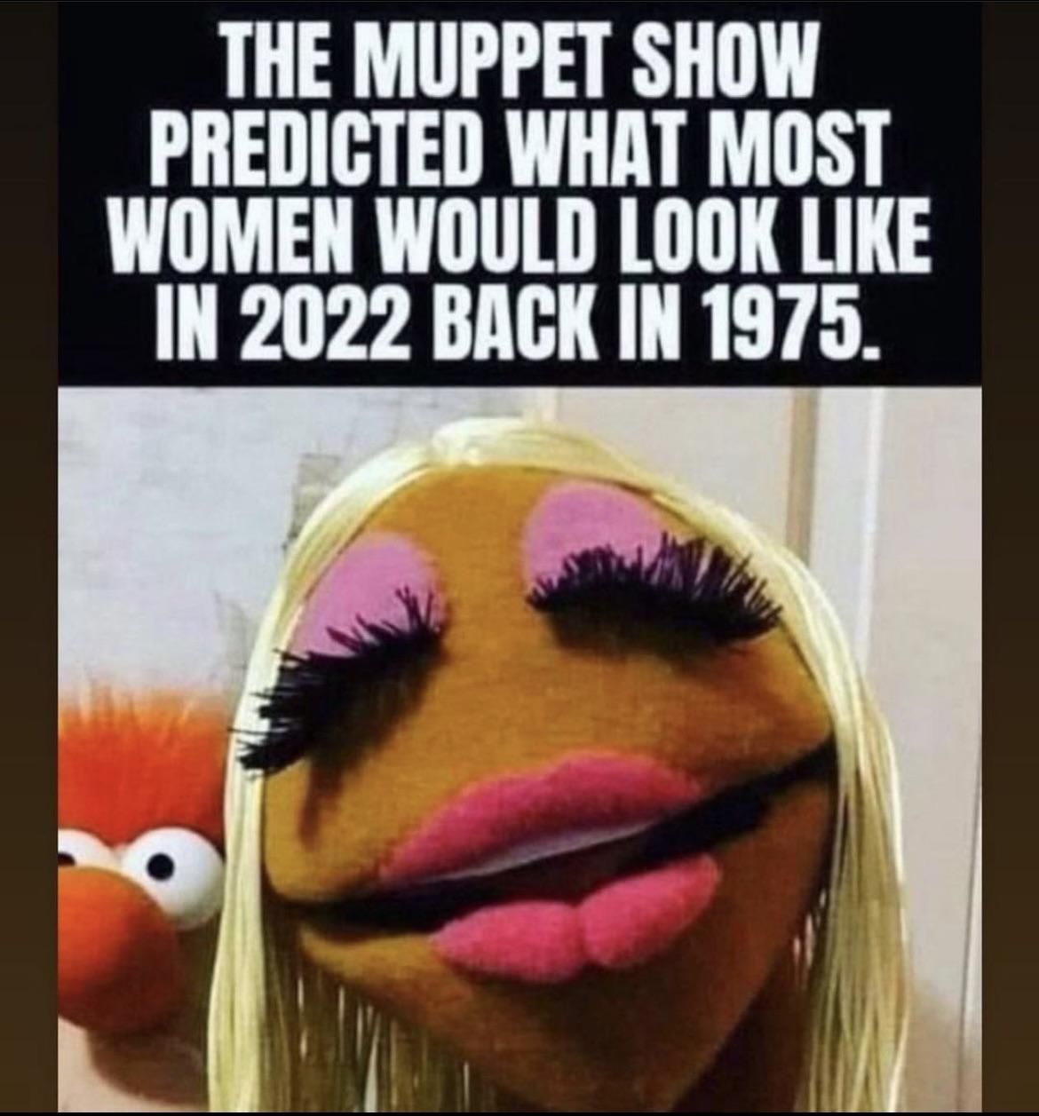 It’s all just a Muppet World