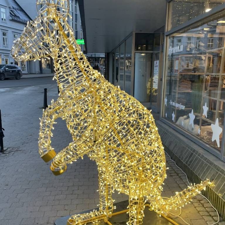 A Norwegian town ordered horse-shaped christmas decor and got this.