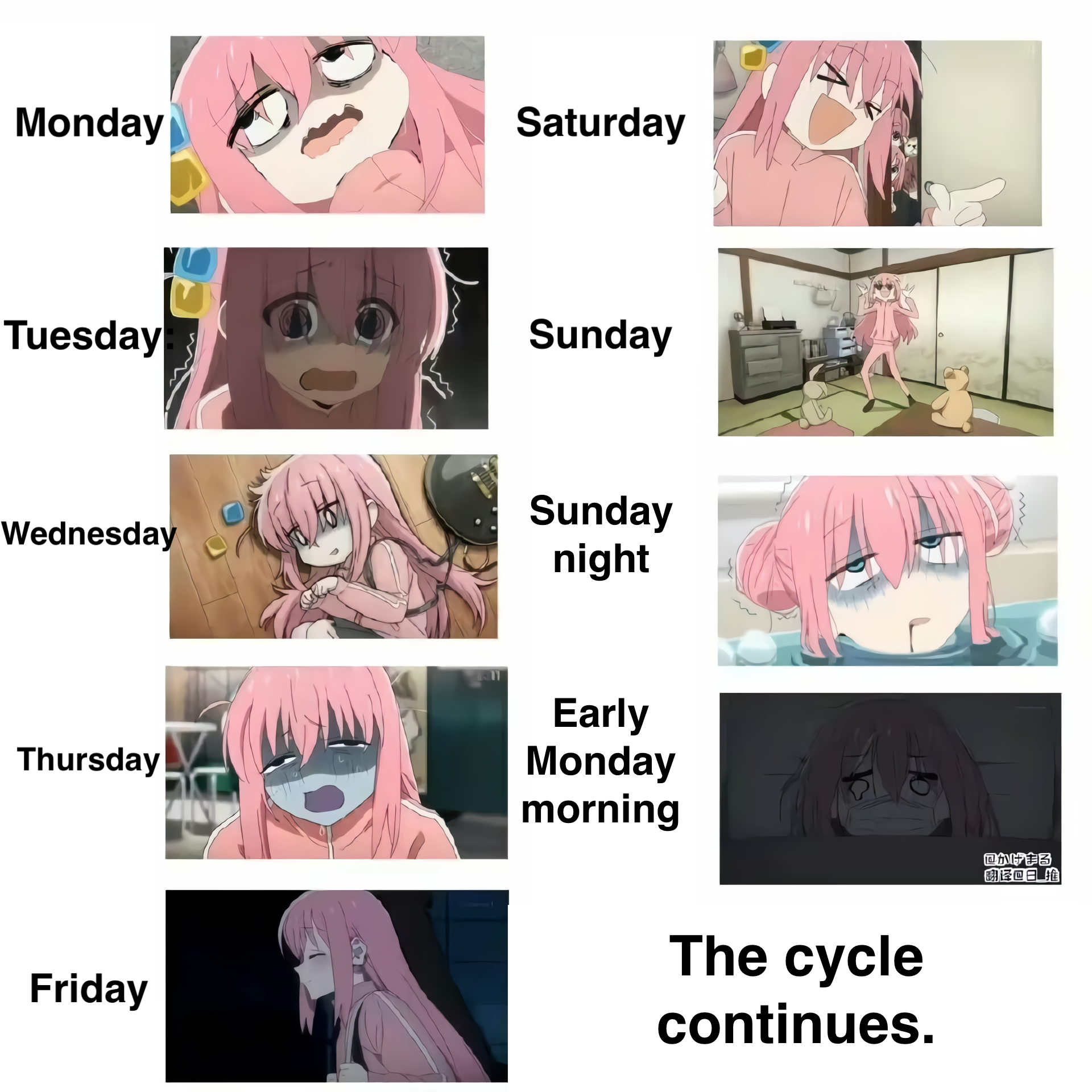 The Cycle Continues~