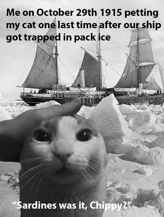 Mrs. Chippy's last expedition