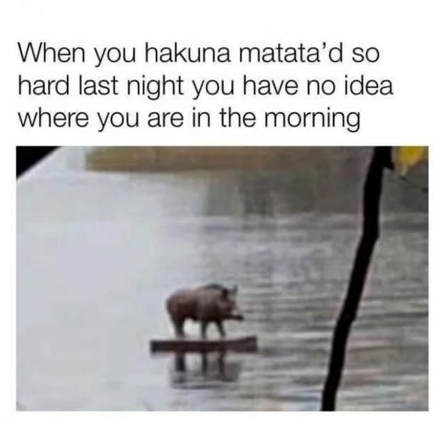 Hakuna Matata has been changes since your childhood