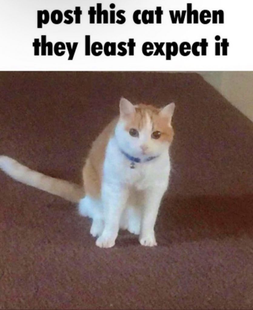 ***