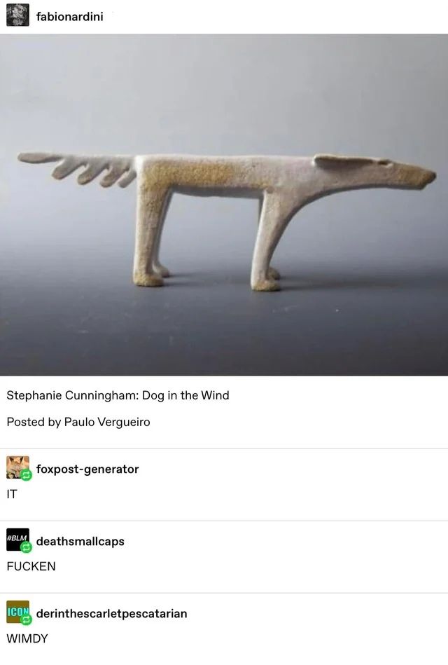 dog