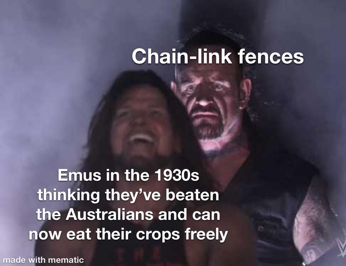 The real hero of the Great Emu War