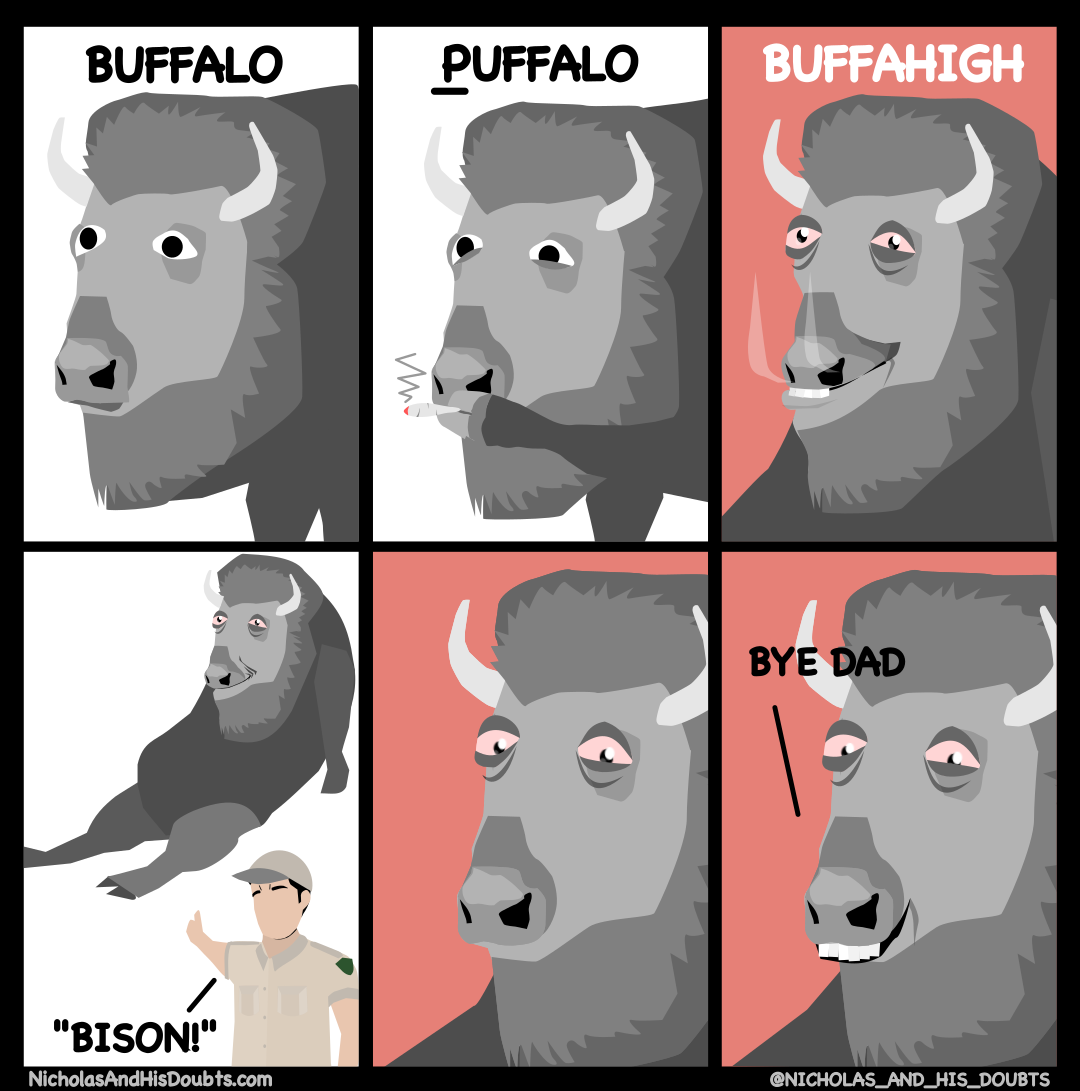 The Buffalo!