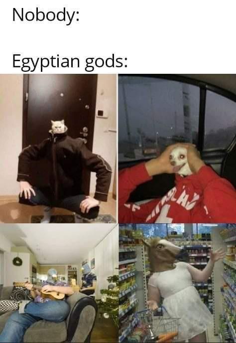 Egyptian Gods be like…