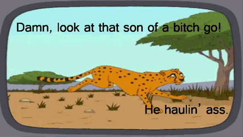 What I think watching nature shows about fast animals.