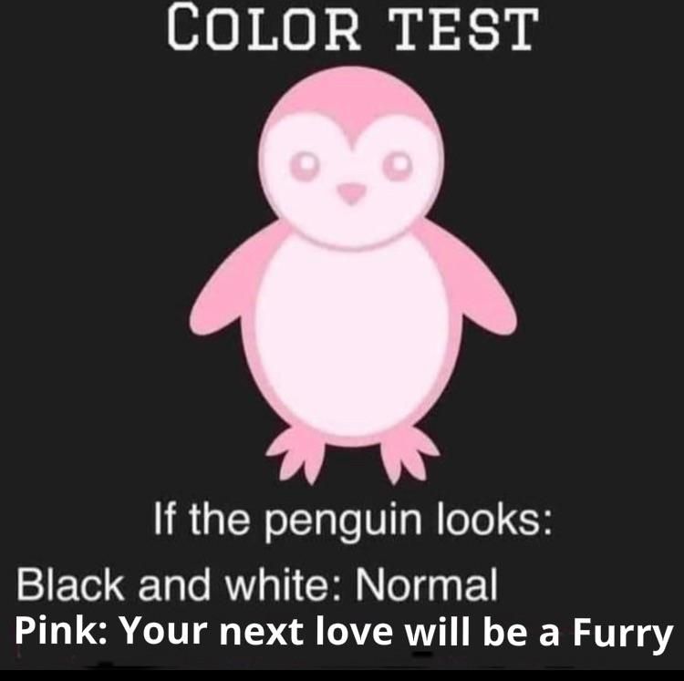 Take the Color Test