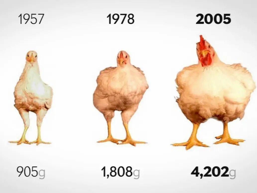 Change in female beauty standards over time 1957-2005