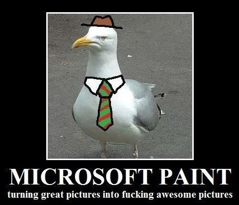 Ou a seagull