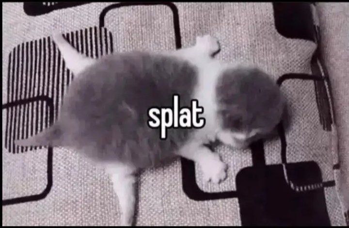 *splat*